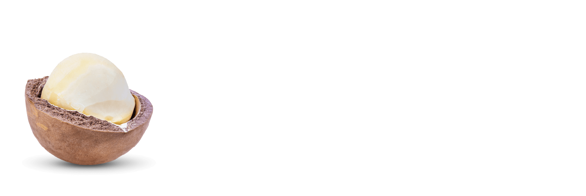 Logo Makkadamia Frutos secos y semillas