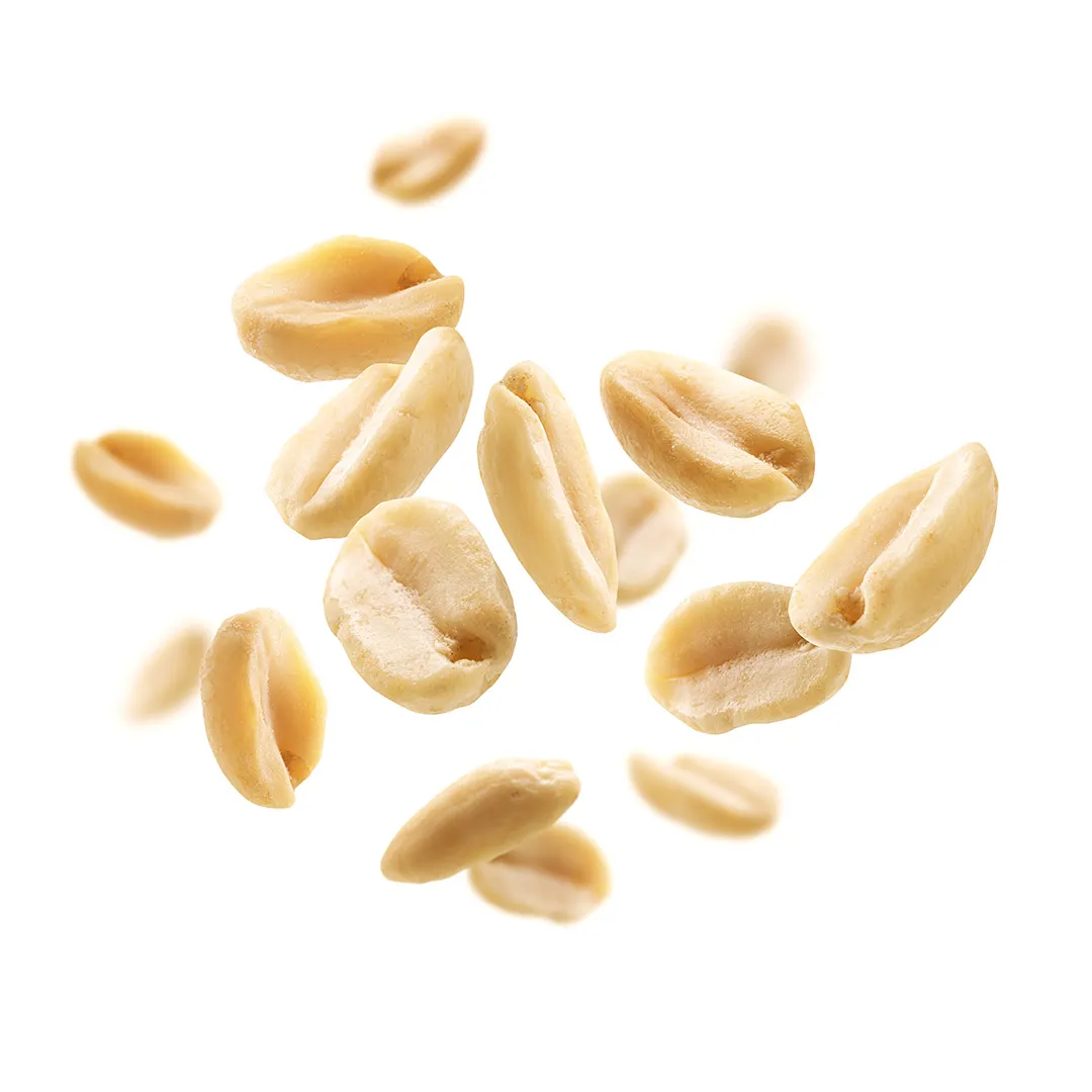 Variedad de frutos secos Makkadamia